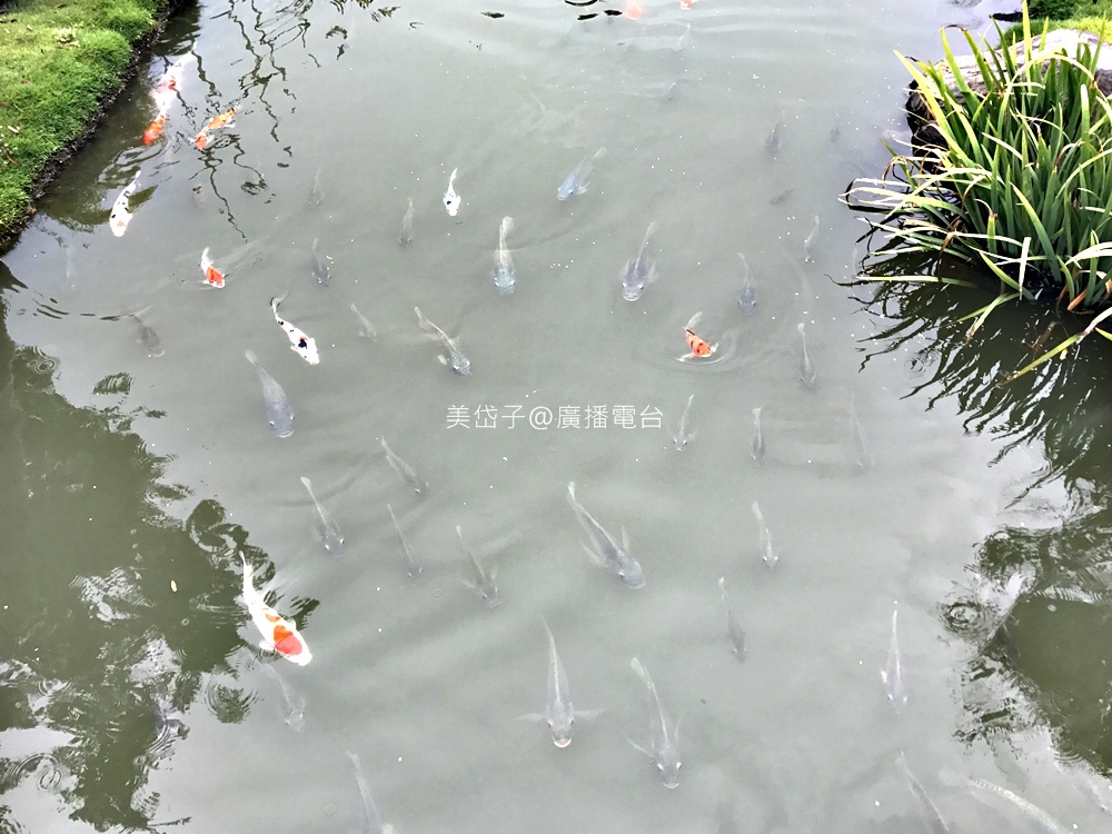 澄霖39.JPG 澄霖39.JPG