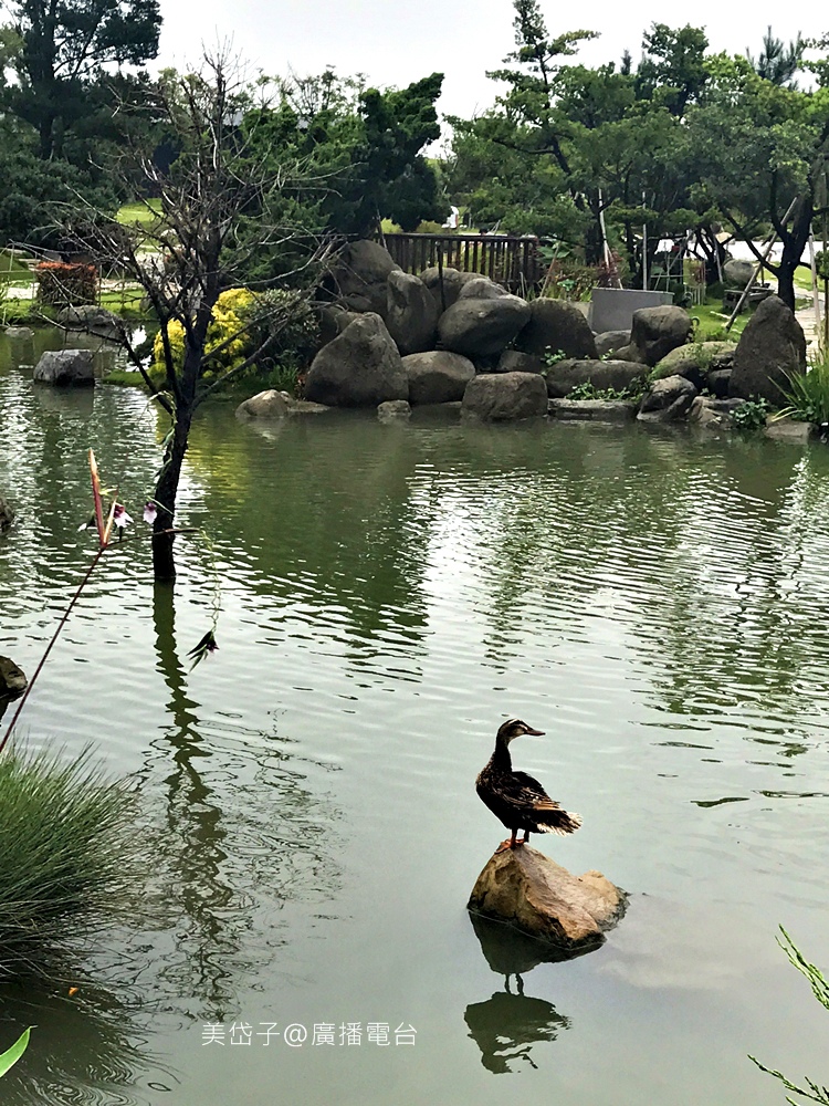 澄霖37.JPG 澄霖37.JPG