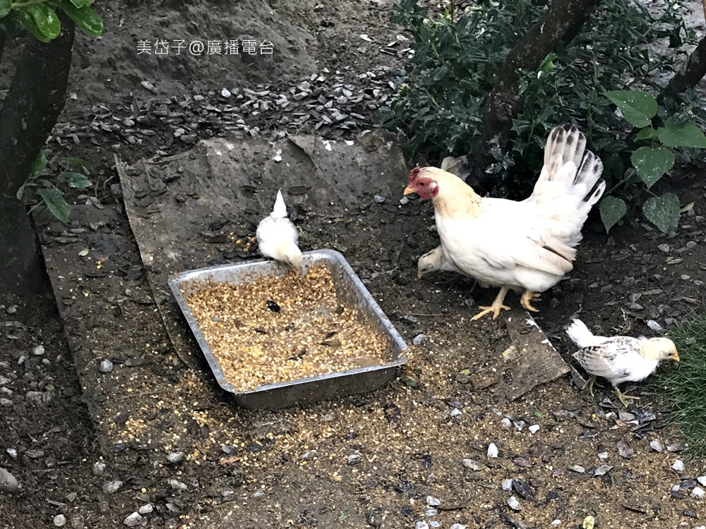 澄霖40.JPG 澄霖40.JPG