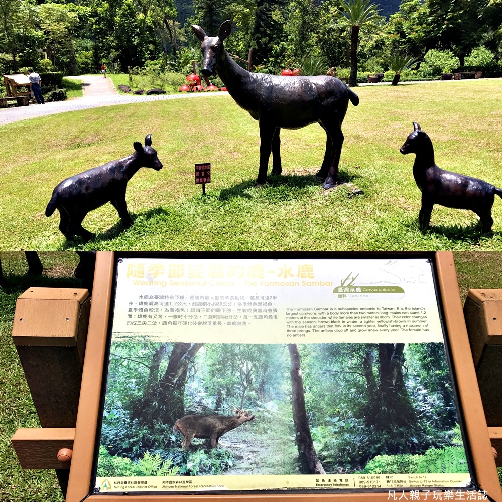 知本森林公園33.JPG