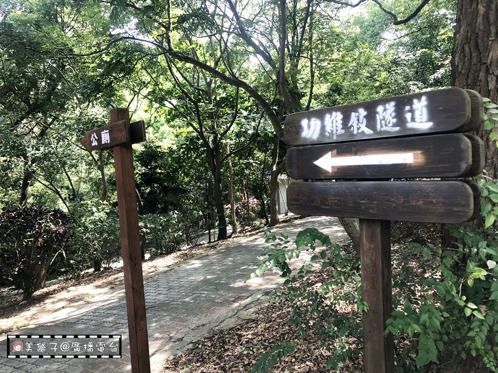 貓裏山公園2.JPG