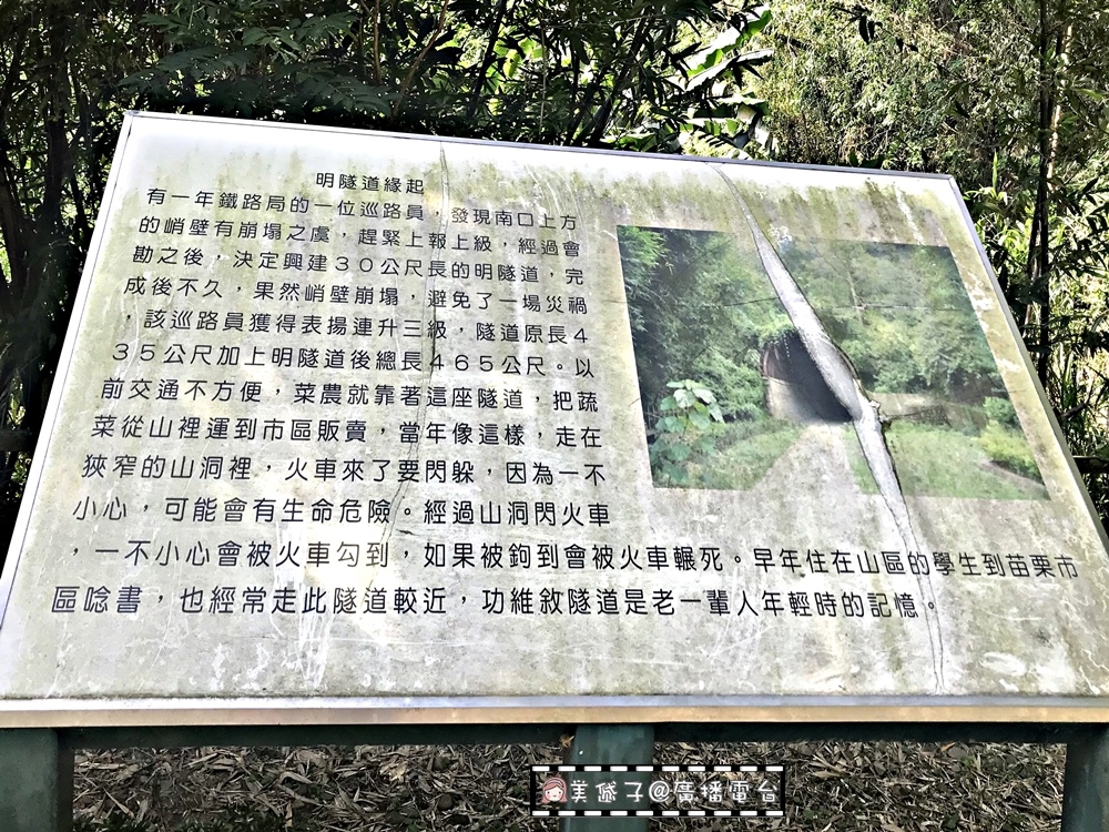 貓裏山公園9.JPG