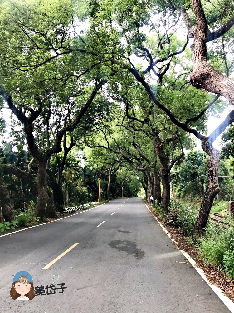 集集綠色隧道2.JPG