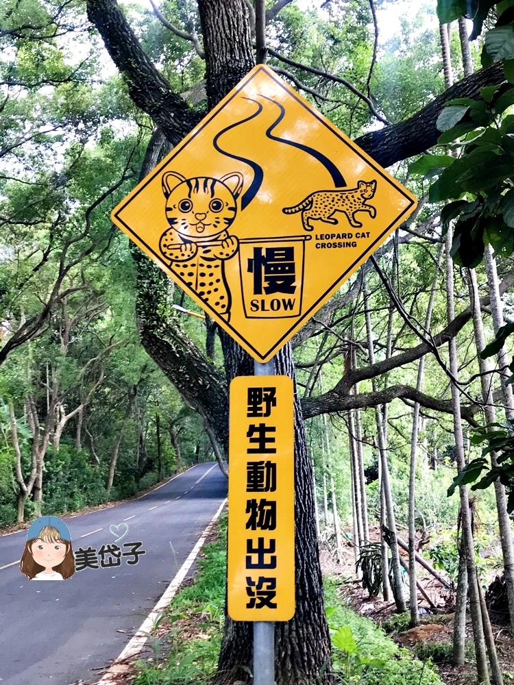 集集綠色隧道8.JPG