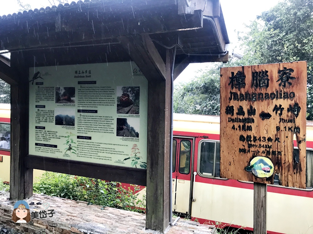 竹崎-奮起湖專開列車2-1.JPG