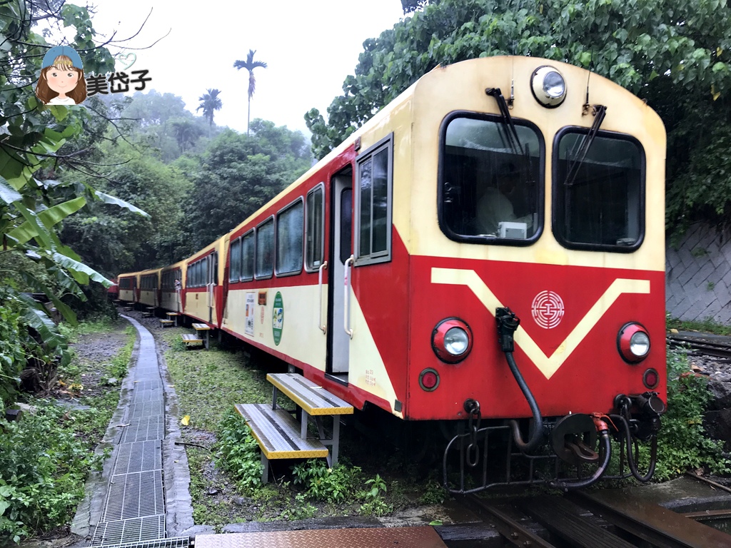 竹崎-奮起湖專開列車3.JPG