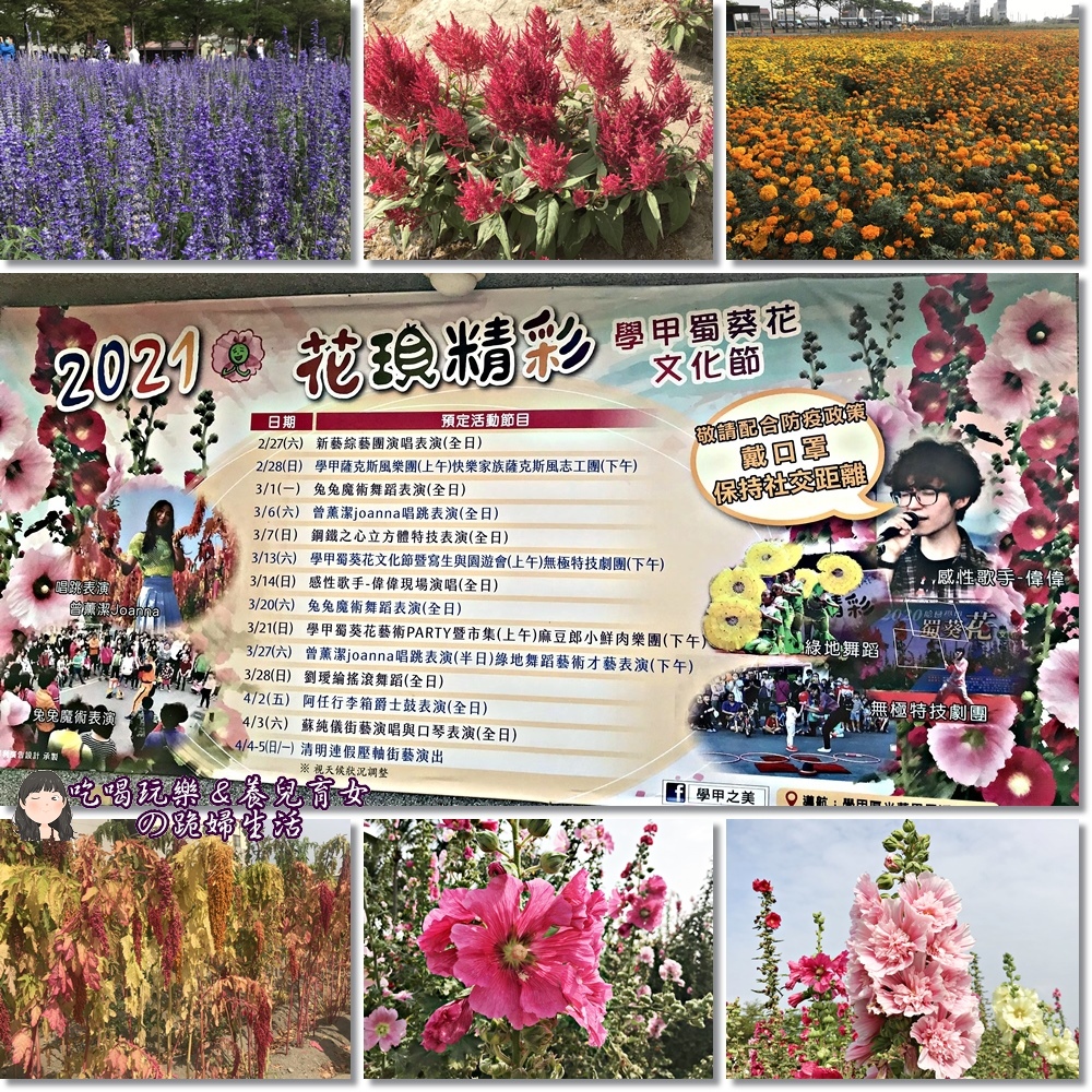 學甲蜀葵花30.jpg