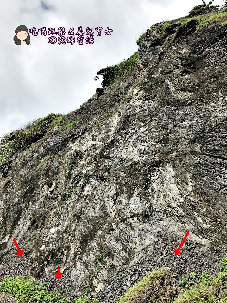 片岩.JPG 片岩.JPG