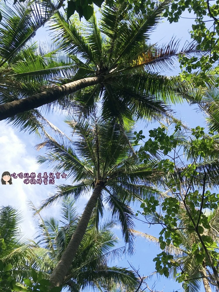 阿塱壹.JPG 阿塱壹.JPG