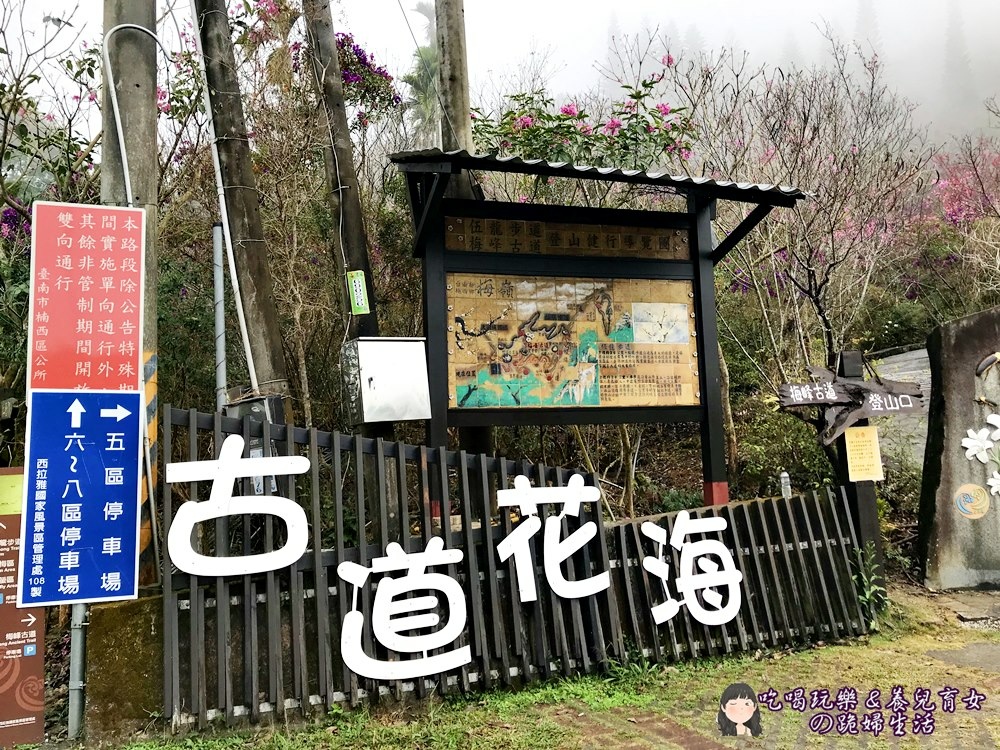 大眾餐廳1.JPG