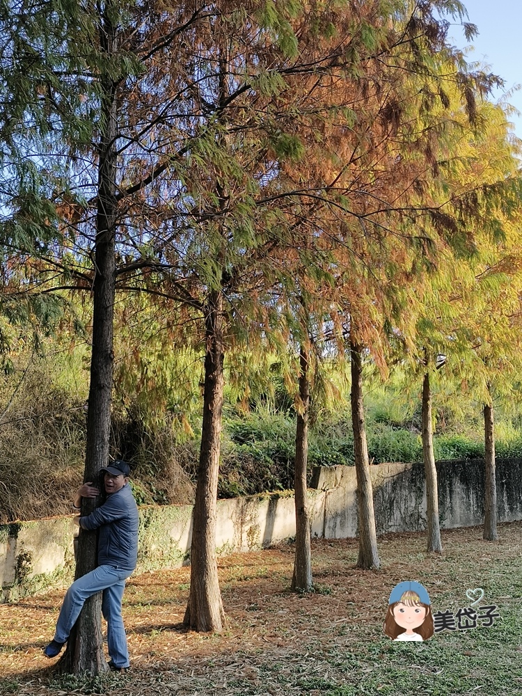 阿罩霧公園11-1.jpg 阿罩霧公園11-1.jpg