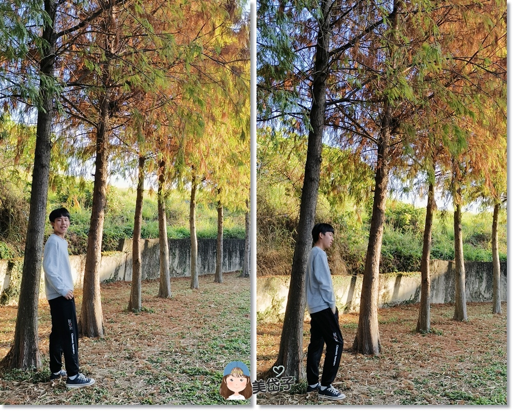 阿罩霧公園11-2.jpg 阿罩霧公園11-2.jpg