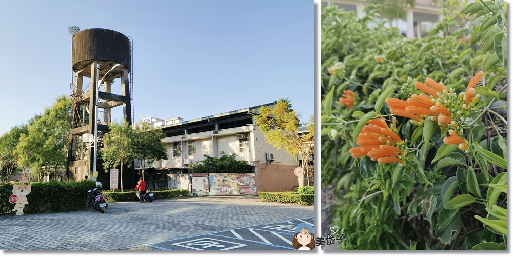 阿罩霧公園20.jpg 阿罩霧公園20.jpg