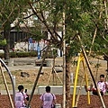 五甲公園-擺盪遊戲場3.jpg