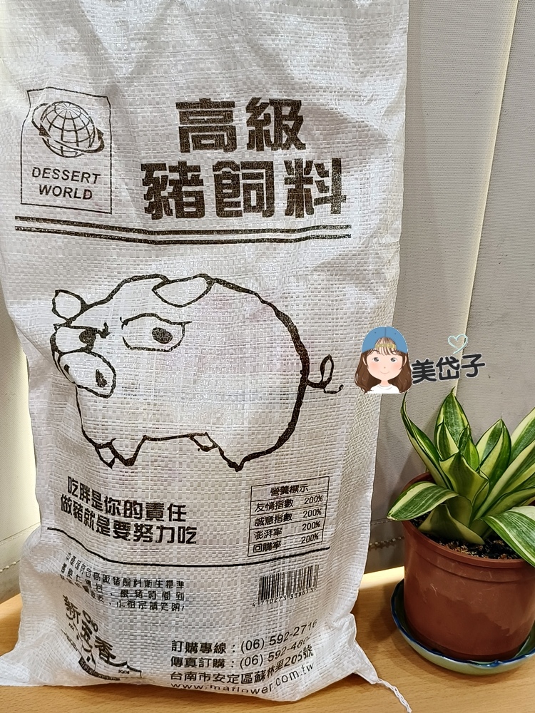 新玉春5.jpg 新玉春5.jpg