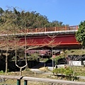 同心橋3.jpg