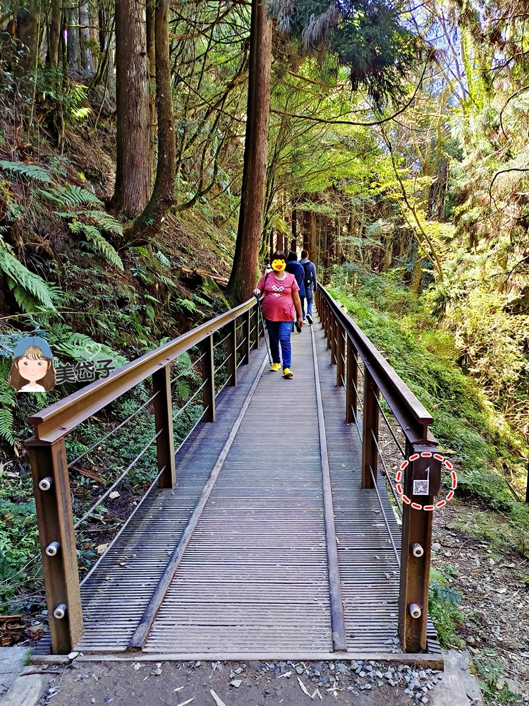 特富野16.jpg