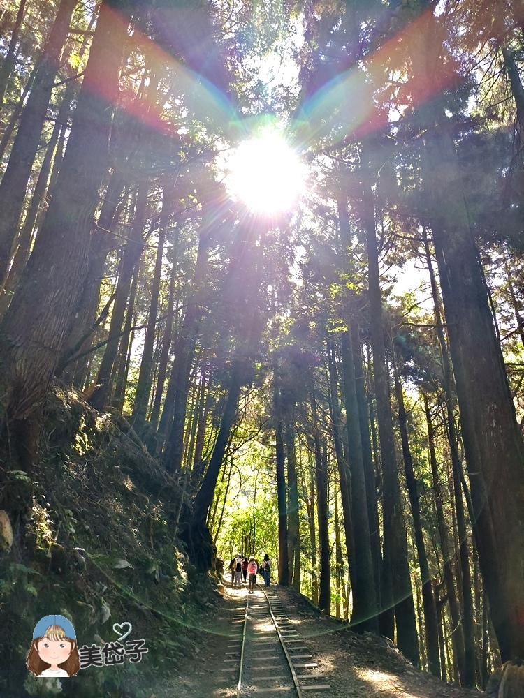 特富野17.jpg