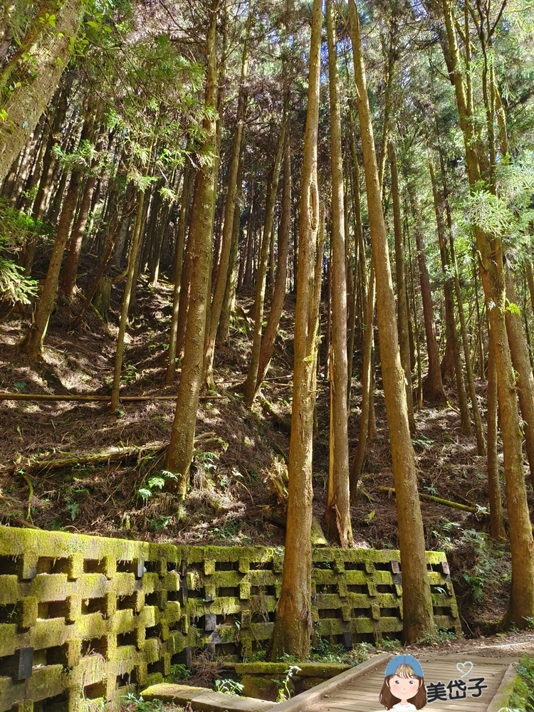 特富野21.jpg