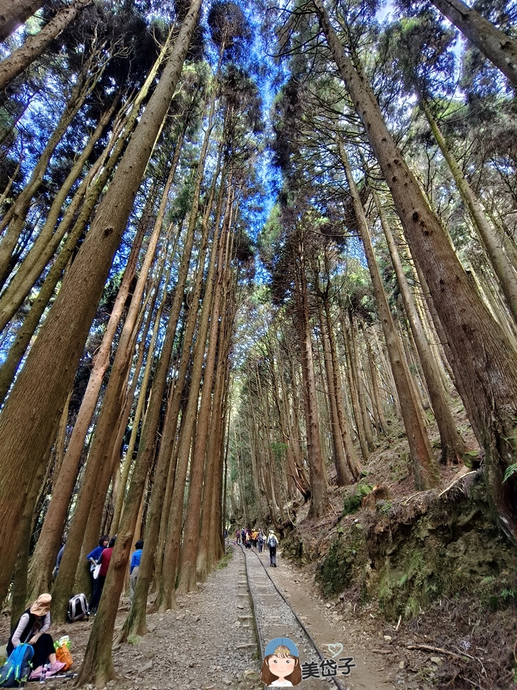 特富野29.jpg