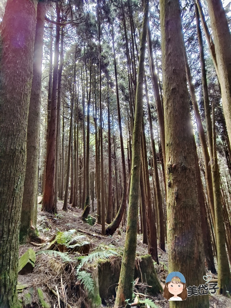 特富野29-1.jpg