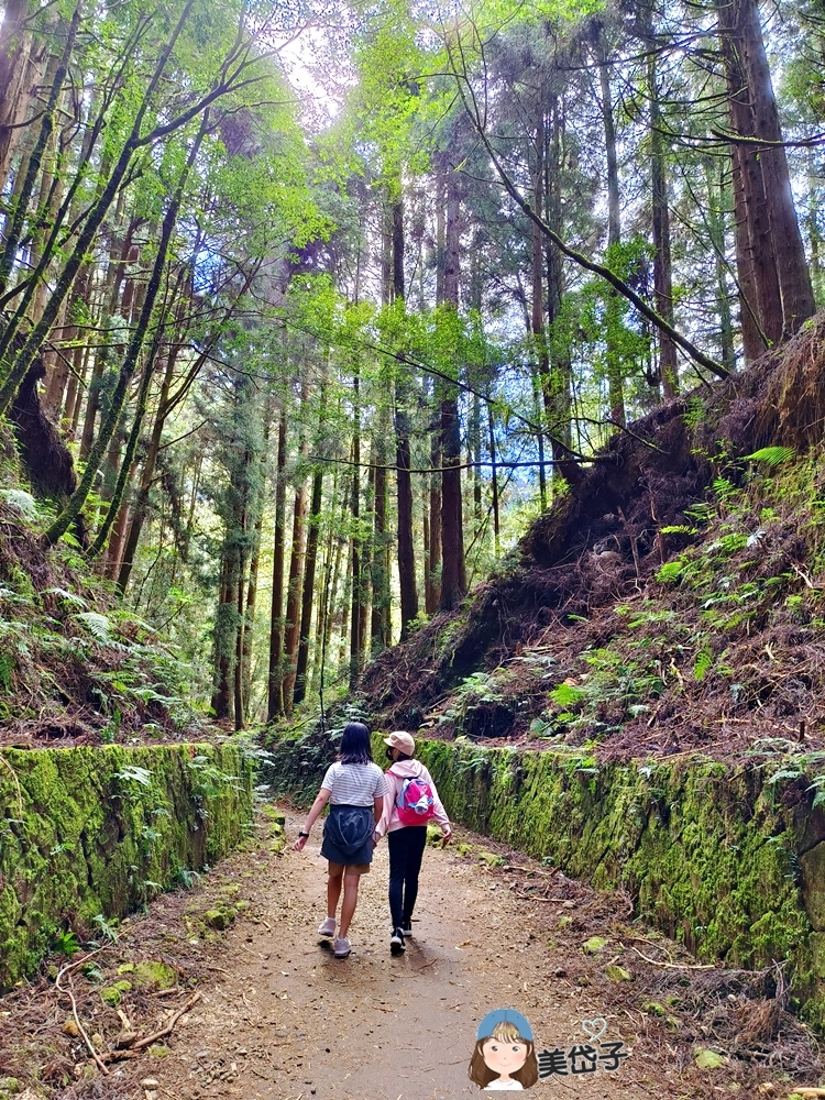 特富野31.jpg