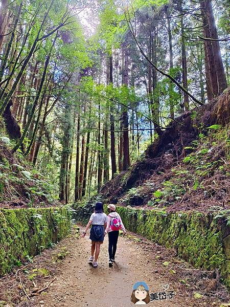 特富野31.jpg