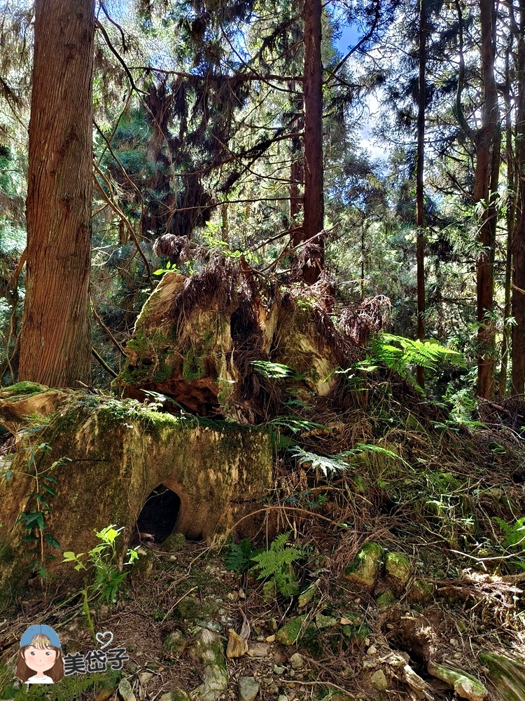 特富野39-1.jpg