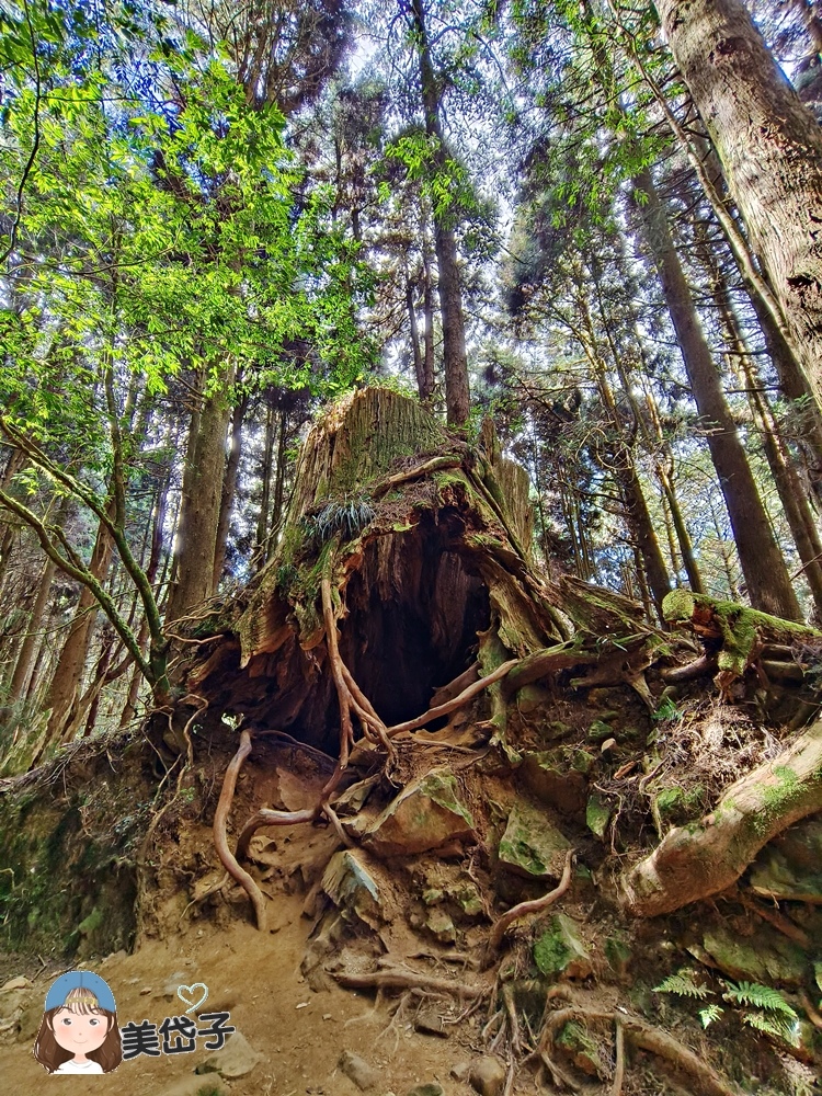 特富野39-3.jpg