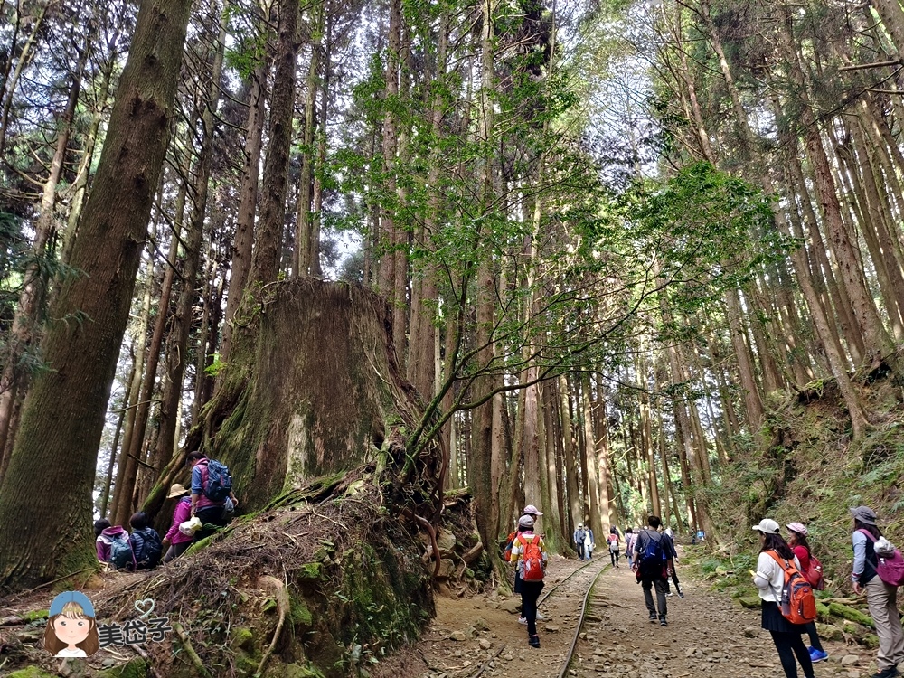 特富野48.jpg