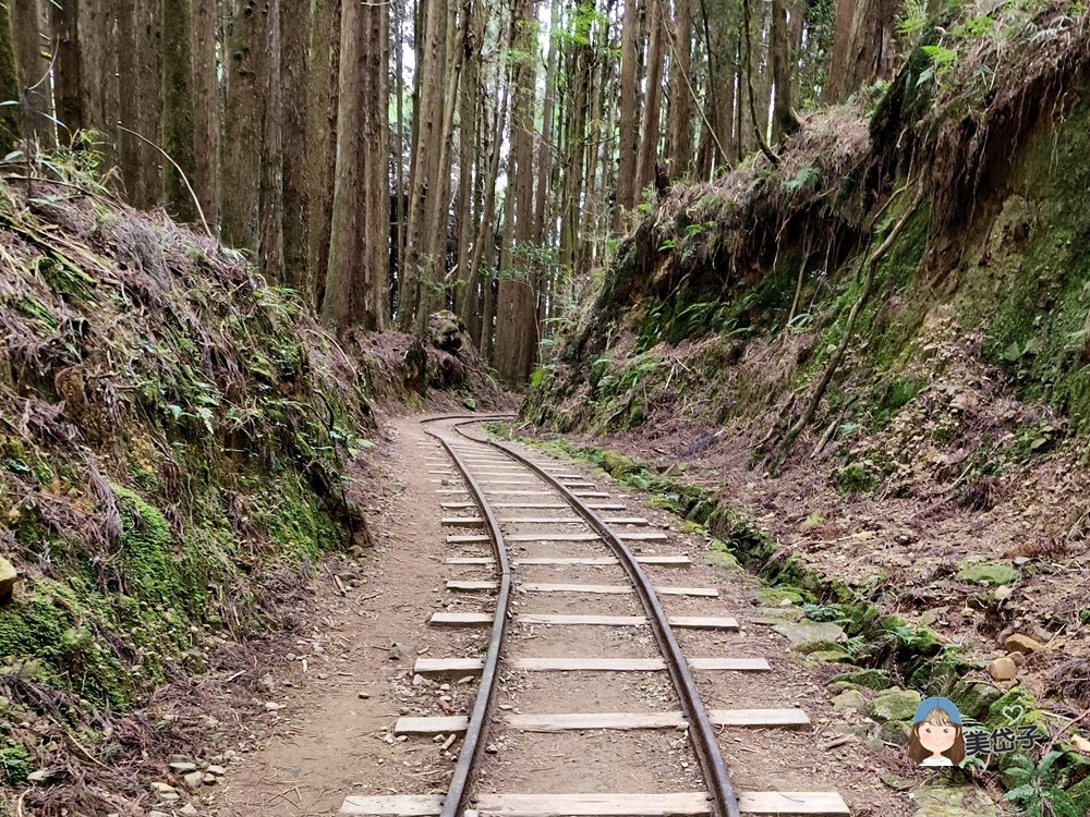 特富野52.jpg