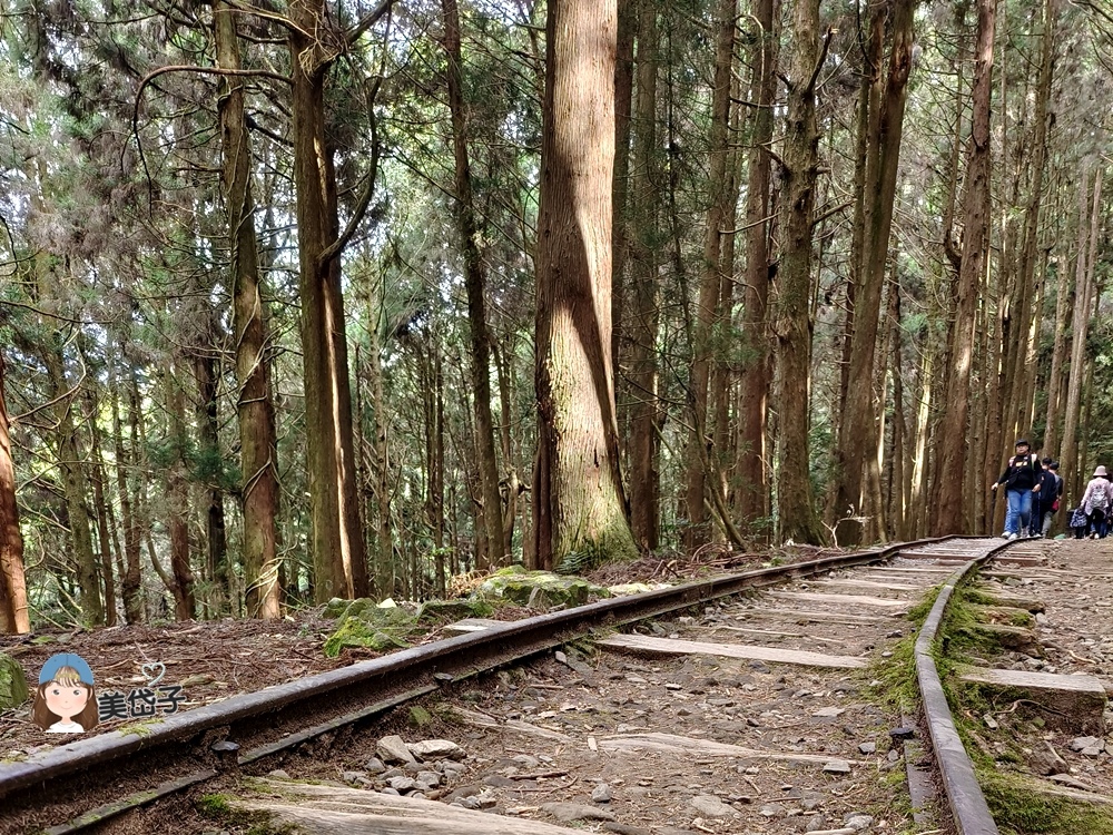 特富野50.jpg