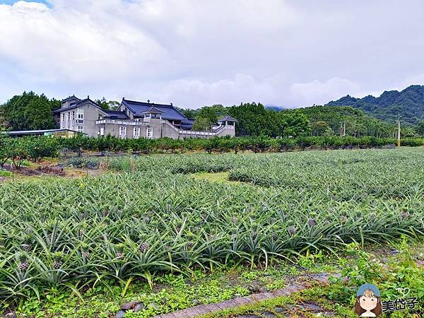 富興鳳梨公園5.jpg