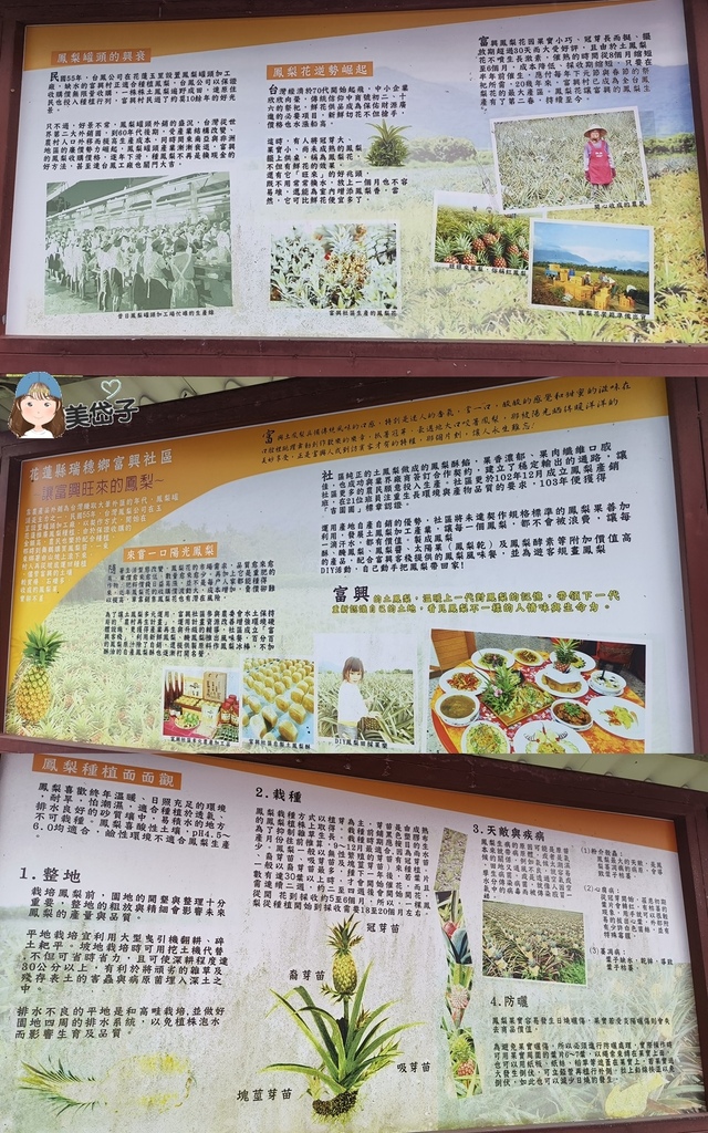 富興鳳梨公園32.jpg 富興鳳梨公園32.jpg