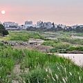 映月橋3.jpg