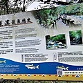 蓬萊溪護魚步道4.jpg