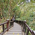 蓬萊溪護魚步道8.jpg