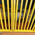 高雄機器人公園9-2.jpg