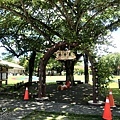 田寮新興國小11-1.JPG
