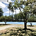 田寮新興國小16.JPG