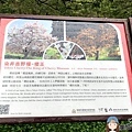 櫻王1.JPG