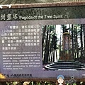 樹靈塔1.JPG