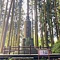 樹靈塔.JPG