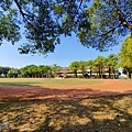 文正國小1.jpg