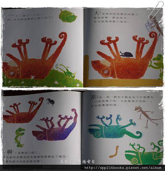 變色龍9.jpg 變色龍9.jpg