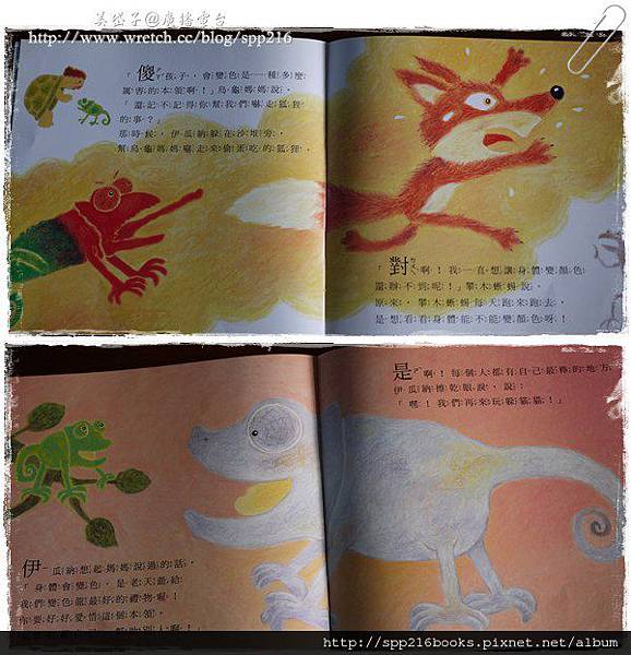 變色龍12.jpg 變色龍12.jpg