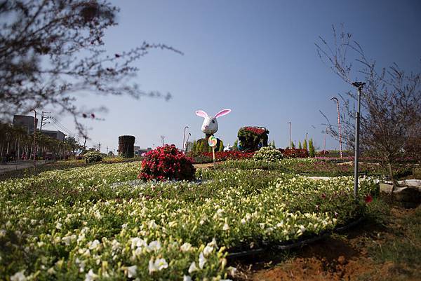 賞花與寶島村 (2).jpg