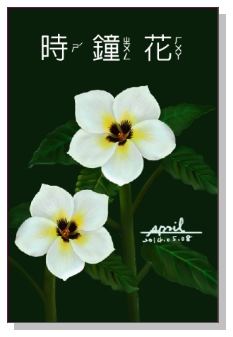 SPRIL-花草系列畫冊-時鐘花 SPRIL-花草系列畫冊-時鐘花
