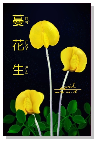 spril花草系列畫冊-蔓花生 spril花草系列畫冊-蔓花生