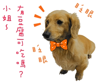 小姐~有豆腐可吃嗎? (未去背) 小姐~有豆腐可吃嗎? (未去背)